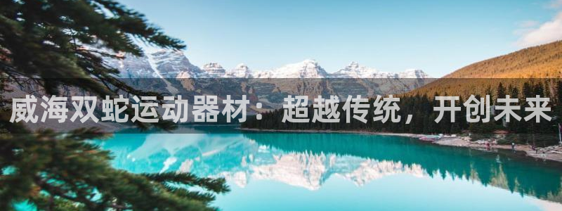 fb体育开户:威海双蛇运动器材:超越传统,开创未来